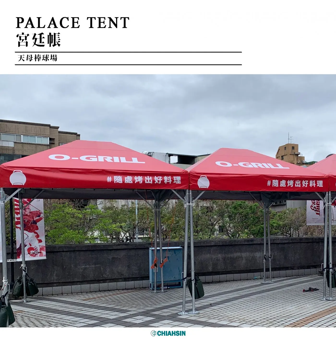 ▍宮廷帳 ▍ ⟗ 天母棒球場