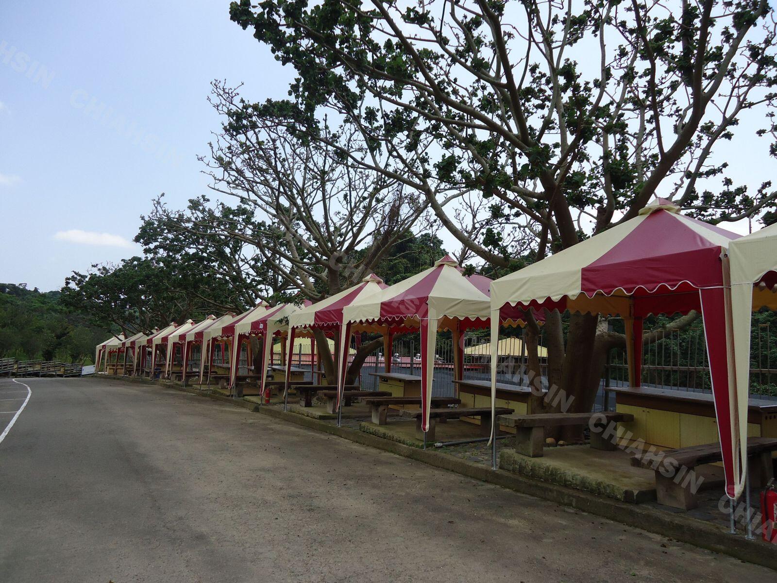 ▍金字塔帳 ▍ ⟗ 櫻花林